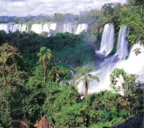 in the spectacle of Iguazu Falls from the Argentinian and Brazillian viewpoints Explore the lush rain forest, that form the background to the cascades Accommodation right on the Iguazu Falls