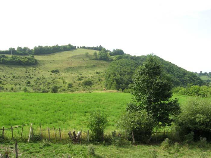 In hilly-mountainous region agricultural production has remained within a traditional framework with respecting laws of nature.