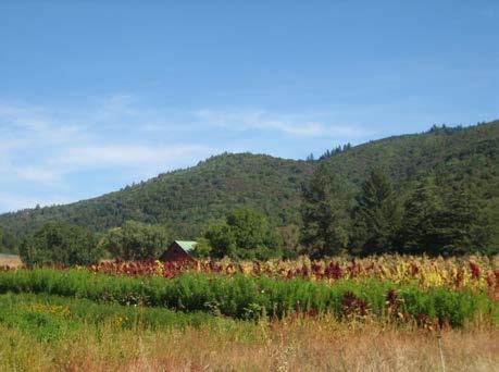 Agriculture Settlement of Sonoma Valley and all of Sonoma County has been inextricably linked with agriculture. 9 Today Sonoma County s most important agricultural products are grapes and wine.