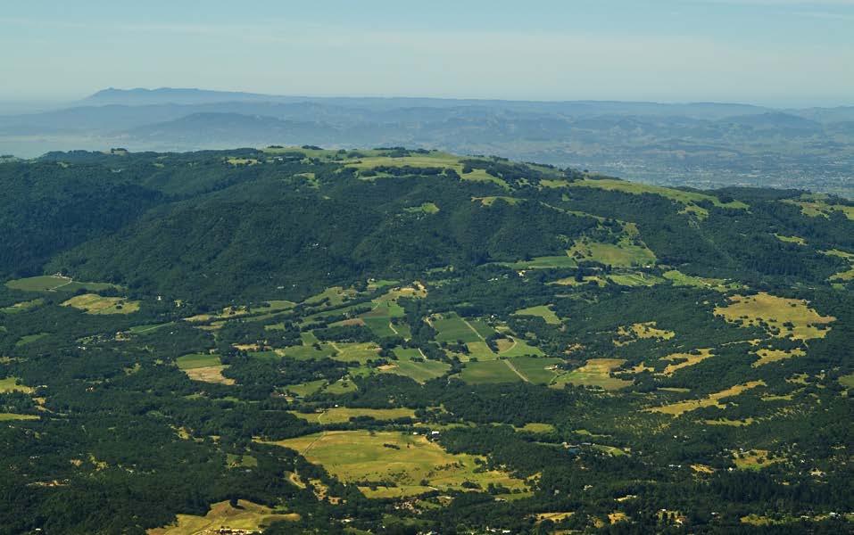 Sonoma Mountain View southeast over Sonoma Mountain with Mount Tamalpais in the background Objective One of the county s most prominent natural features, particularly visible from the south, this