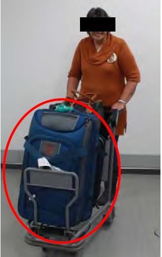 6 kg Travel Route: IAH (Houston)-FRA-JNB-FRA-HND Method of concealment: False Bottom of Suitcase API Passenger: