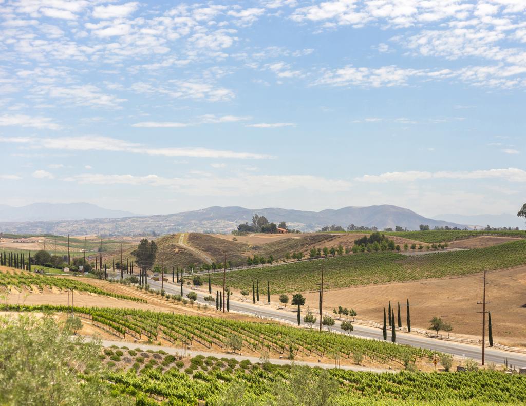 arrett Corporate Center C i t y o f T emecula Temecula is a place of rolling vineyards, historic traditions, and modern conveniences combined to offer entertainment for people of all ages.