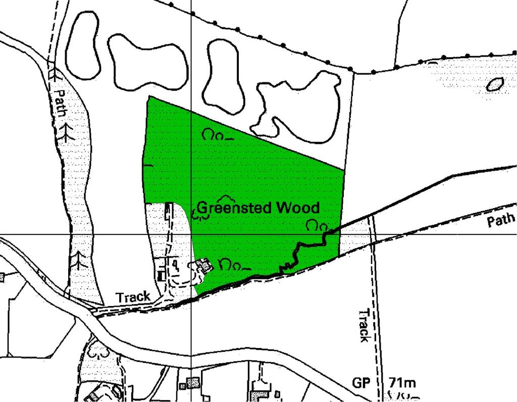 Ep168 Greensted Wood (4.0 ha) TL 530030 This wood consists almost solely of Hornbeam (Carpinus betulus) coppice with occasional Pedunculate Oak (Quercus robur) standards.