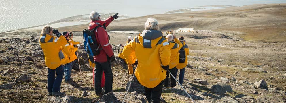 Their knowledge will deepen your immersion into the polar environment and further enhance your connection to the Arctic.