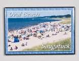 Saugatuck Oval Beach