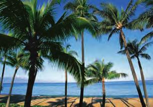 Transfer from your hotel to embark Pride of America. KAHULUI, MAUI Spend two entire days in Maui. There are plenty of activities in Maui.
