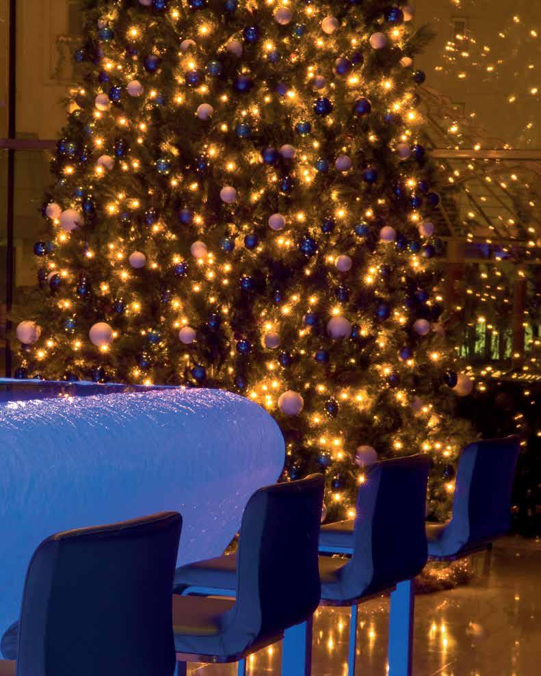 S T E P I N T O CHRISTMAS WITH... BLU At Radisson Blu we ve got Christmas all wrapped up.