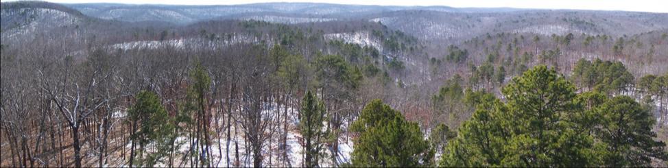 BIG SPRING WILDERNESS Overview. Part of the watershed for the largest freshwater spring in North America.