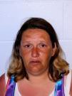 issued by Floyd County, GA (16-8-2 - Theft By Taking - Other - Fel) CAMP, APRIL LEONA 47 A JONES DR, ROME, GA 30165 06/27/13 47 A JONES DR PARTON,