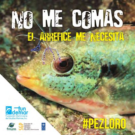 FUNDEMAR, an environmental foundation in the Dominican Republic, has an ongoing campaign to end consumption of parrotfish.