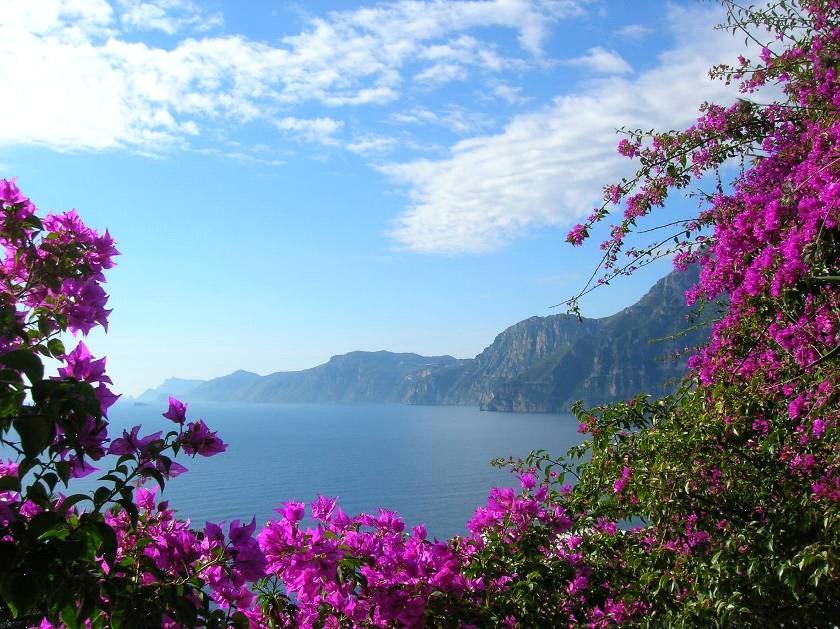 & Sentiero degli Dei, Positano & Capri TRIP