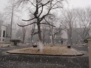 It suddenly began to snow (4:16 p.m. on March 11). The snow continued from around 4:15 p.
