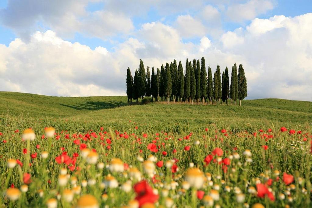 DAY 6 AN IMMERSION IN THE VAL D ORCIA Breakfast at your hotel and departure to Val d Orcia. Today will give you more chance to enjoy Tuscany!