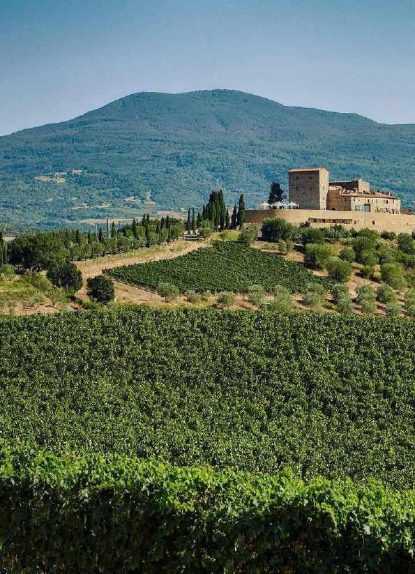 SURROUNDED BY BRUNELLO VINEYARDS IN VAL D'ORCIA UNESCO WORLD HERITAGESITE Set on a hilltop in the Southern Tip of Montalcino, Castello di Velona is a thousand-year-old Castle in the heart of Tuscany,