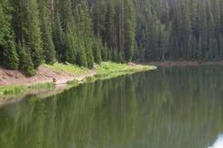 Rate: $18 Woodland, UT (435) 654-0470 Mill Hollow Reservoir offers rainbow and albino rainbow trout fishing.