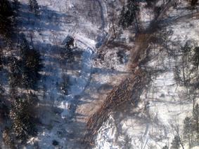 II. Project description Legal protection Illegal woodcutting revealed during the patrol by helicopter Since 2005 federal legislation modifications have made almost all wildlife reserves in Primorsky