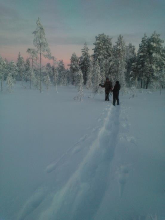 Tour 7. Looking for reindeer /SNOWSHOE TREKKING Experience the wintery forest, silence of nature, fells and reindeer.