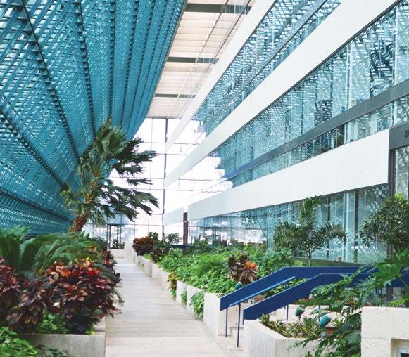 THE PROPER TY HOLDS SAN ANTONIO S LARGEST AND MOST LAVISH, CLIMATE CONTROLLED ATRIUM.