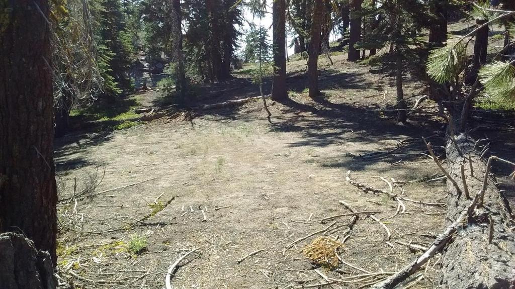 Campsite C1702 Location Type: Prohibited In Guthook App: No Approximate Area: 200 sq ft Approximate Barren Core: Under 50 sq ft Vegetative Ground Cover: 6-25% Vegetation Change: 1-5% Soil Exposure: