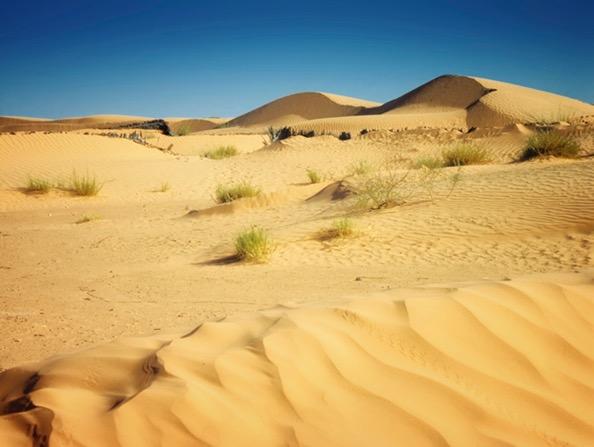 The Sahara, which is Arabic for desert, stretches from the Atlantic Ocean