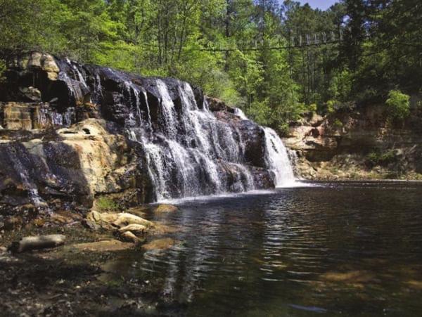 ZipQuest Waterfall & Treetop Adventure 533 Carvers Falls Drive 910-488-8787 25 Located on 50 acres that surround and include Carvers Falls.