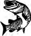 Aquatic Arts Fishing Pro Shop 601 N. 4th St. Tomahawk & Taxidermy Studio coupon NIGHT CRAWLERS $1.95 per dozen Limit 2 dozen.