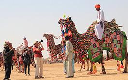 Tour Highlights No of days: 7 Nights/ 8 Days Overview of the trip: Day 1,2: Jaipur Day 3,4: Bikaner Day 5,6: Jaisalmer Day 7,8,9: Jodhpur Glimpses of the tour: City Palace Hawa Mahel Jantar Mantar
