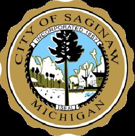 ADDITIONAL RESOURCES Property SONAR link City of Saginaw