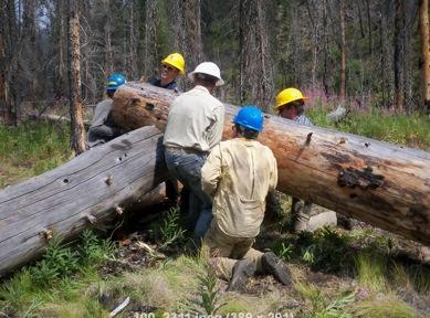 Both projects had volunteers from the Idaho Trail Association and Idaho Parks and Recreation along with the pack support and camp