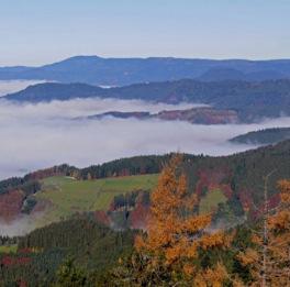 Day Trips from Baden-Baden