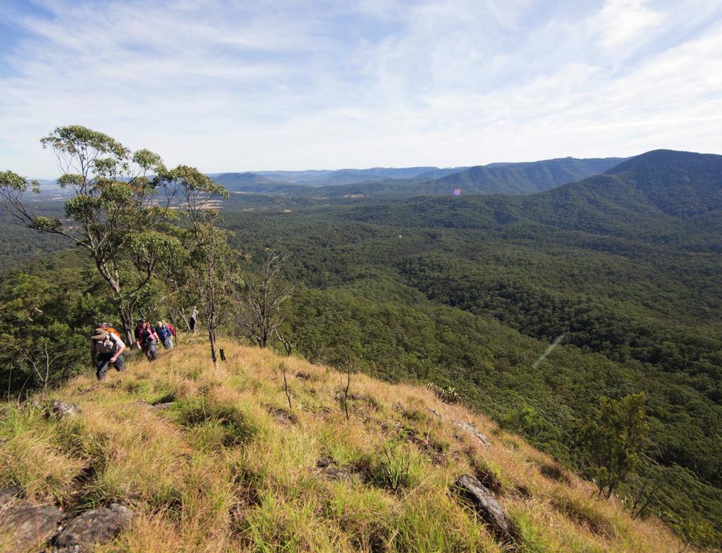 SPICERS SCENIC RIM TRAIL 2-DAY This unique adventure begins in the