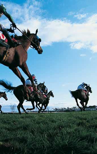 Melbourne Cup 6 Nights Cruise: Sydney, Melbourne (overnight, transfers & tickets to Flemington Racecourse included), Sydney Sydney Departure: 2016 > 29 Oct (Pacific Pearl & Pacific Jewel) $749 $749