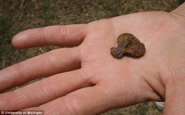 early Spanish colonists Remains: Artifacts left behind by