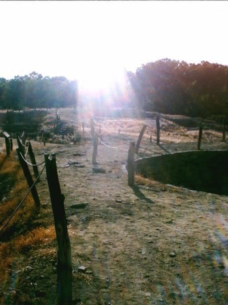 May 16 1 st Folsom Archaeological Site Tour Folsom Museum, Folsom 8 A.M. morning tour & 1 P.M. afternoon tour Reservations required, no charge, donations appreciated Sponsored by the Folsom Museum, Tour the Folsom site with a qualified Archaeologist to answer any questions you may have.