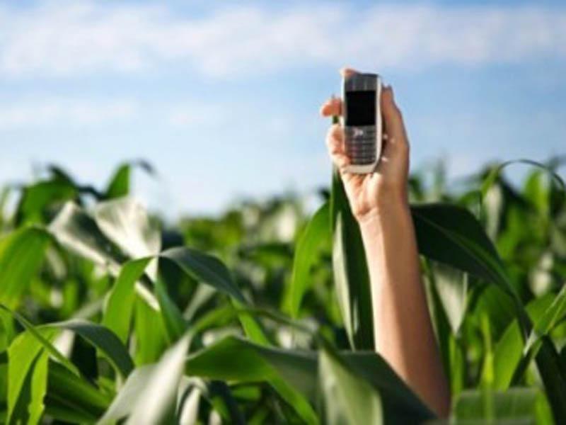 A recent report from Ofcom includes a section on Getting coverage to the rural areas. Ofcom plan to hold an auction of more airwaves used by mobile networks.