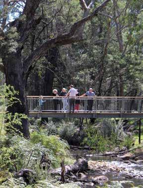 Walks Zumsteins River Walk to MacKenzie Falls (7km return) begins at the beautiful Zumsteins picnic ground,. Follow the track to Fish Falls or continue onto MacKenzie Falls.