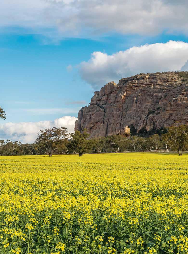 Mount Arapiles is a rock formation that raises above the Wimmera Plains in Western
