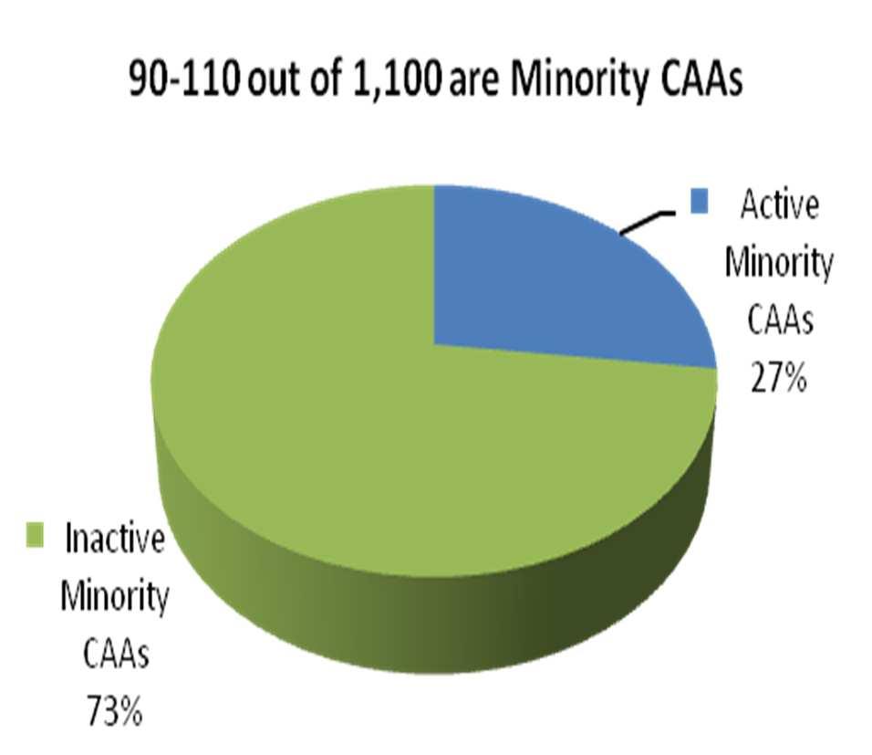 A Short Background of the CAAs in Kosovo Approximately 90-100 out of these 1,100 registered CAAs are constituted by the ethnic minority groups