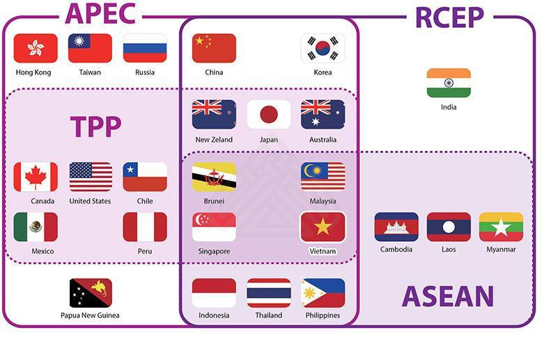 VIETNAM ECONOMY VIETNAM INTEGRATION - LOOKING TO FUTURE APEC( Asia-Pacific Economic Cooperation); TPP