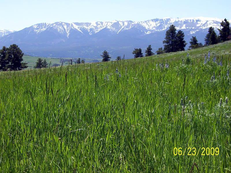 LOCATION The Hall Ranch is ideally located in the foothills of the Beartooth Mountains, approximately 5 miles west of Fishtail, Montana in an area of rolling grassy hills and timbered slopes.