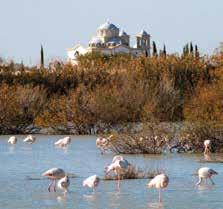 the village The lake of Oroklini designated a Natura 2000 site, nesting 190 register bird species including two threatened ones.