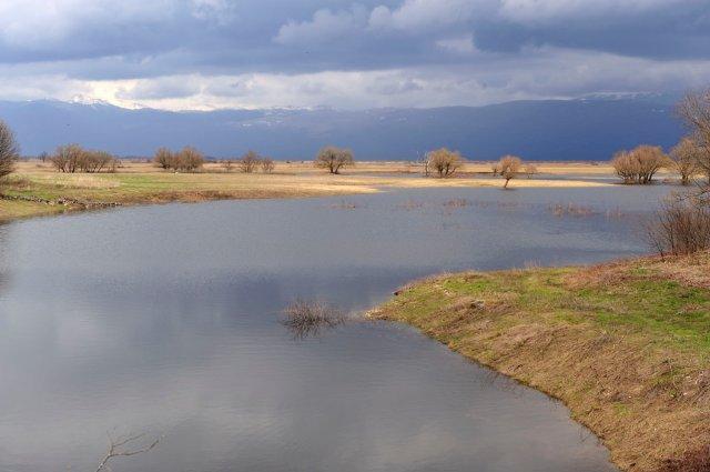 Research-conservational program IBA (Important Bird Areas) Until 2013., one new area (Livanjsko polje) was listed as IBA, and the study with 40 potential IBAs was created.