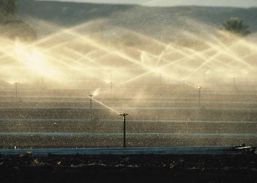 Irrigation water that contacts produce: E.