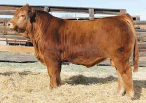 109 NJW 73S M326 TRUST 100W - A granddaughter sells as Lot 109.