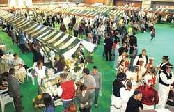 hunters and nature lovers, International Autumn Fair, KON-TUR - Exhibition of continental tourism, JUMP - show horses and