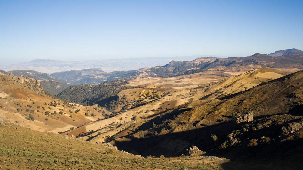 turn. Amongst the beautiful panoramas of the Bale Mountains National Park, you ll then have an opportunity to relish the rich diversity of Ethiopia s rare and endemic wildlife, before travelling to