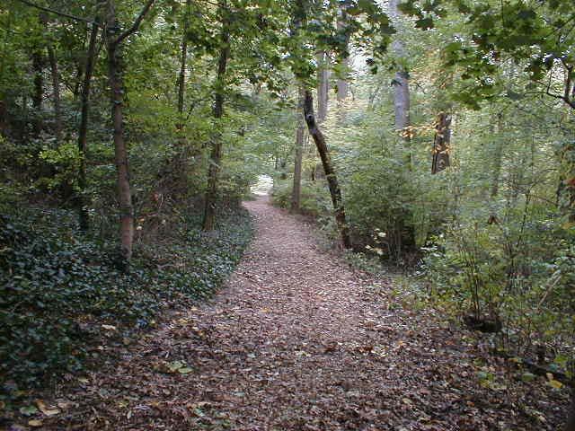 2.3 Recommendations 2.3.1 Encourage Responsible Enjoyment of Natural Areas To encourage responsible enjoyment of creeks and wooded areas, the following is recommended: 1) naturalize and close off