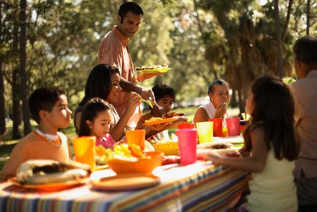 provide varied picnic capacity sites with emphasis on smaller picnic users, the following is recommended.