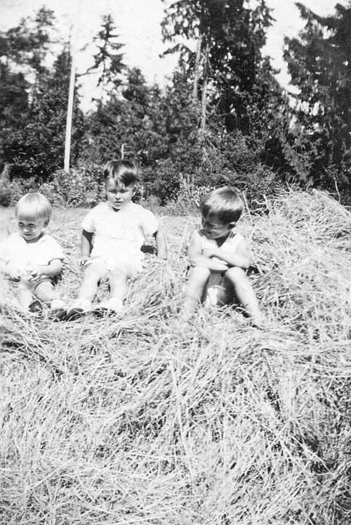 Fred Fraser, Jim Fraser and Ian Macdonald on haystack at