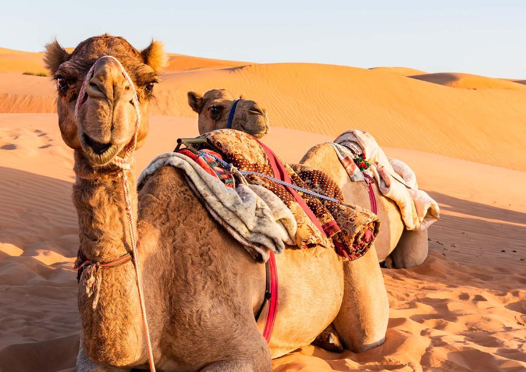 UAE DESERT & MOUNTAIN TOUR ESSENTIAL SIGHTS & EXPERIENCES Get to know the picturesque sides of the United Arab Emirates that are known all over the world through the media.